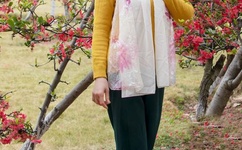 ipad mini软件下载